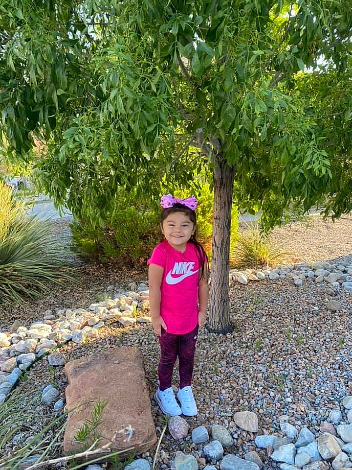 Ellyana is registered to the contest to win money with this photo: child, forest, fun, garden, grass, joy, landscape, leaf, leisure, people_in_nature, person, plant, recreation, rock, shrub, smile, soil, terrestrial_plant, toddler, tree