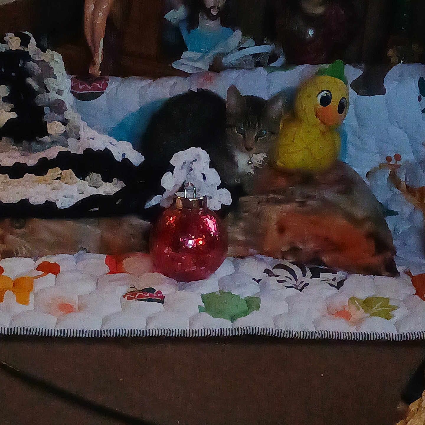 Frankie joined the competition — help win amazing prizes! animal, blanket, cat, cozy, crochet, decor, dim_light, duck, feline, figurine, home, indoor, knitted, ornament, quiet, religious, resting, soft, statue, table