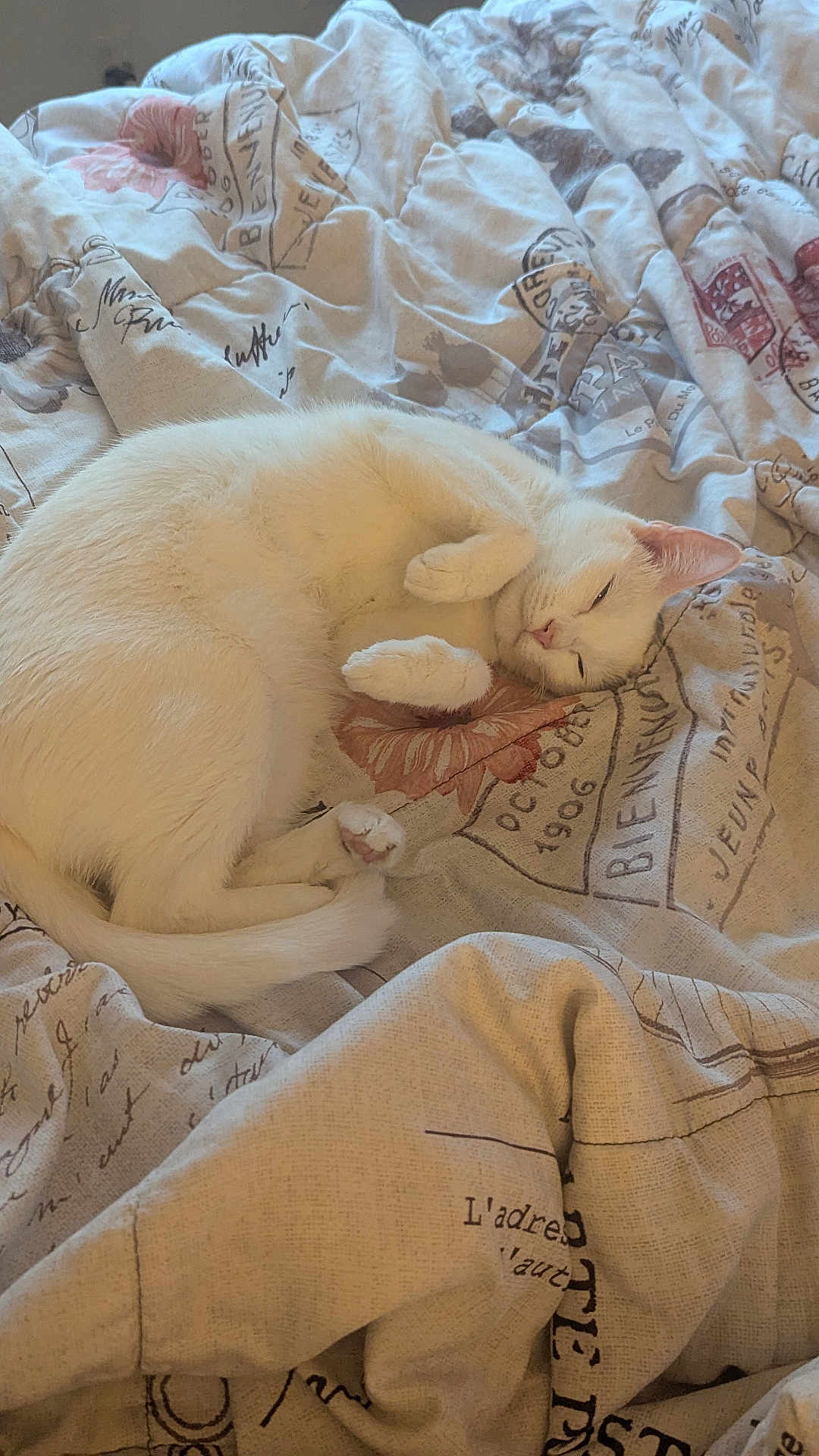 Chloe