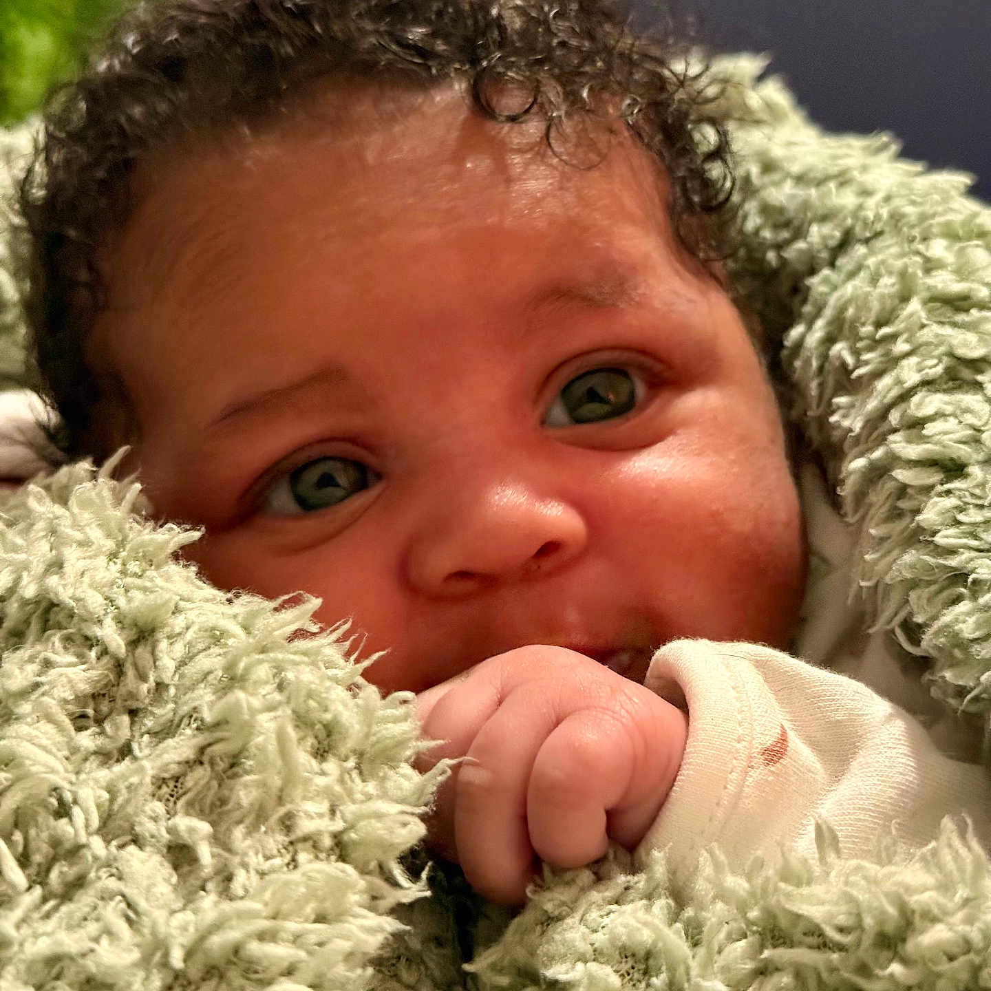 Aria-Leigh joined the competition — help win amazing prizes! baby, blanket, child, close_up, cozy, curly_hair, cute, expression, eyes, face, green_blanket, hand, infant, newborn, portrait, skin, soft_texture, toddler, warm, wrapped