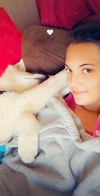 Stitch a rejoint le concours — aidez-le/la à gagner de superbes lots ! carnivore, comfort, companion_dog, eye, eyebrow, eyelash, fawn, felidae, flash_photography, fur_clothing, gesture, happy, head, lip, nose, shoulder, skin, small_to_medium_sized_cats, smile, thigh