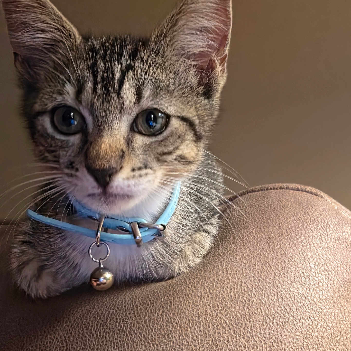 Junior