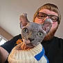person, glasses, beard, indoor, cat, sphynx_cat, pet, sweater, knitwear, closeup, face, animal, curious, portrait, looking_at_camera, human, cozy, eyewear, cute, domestic_animal
