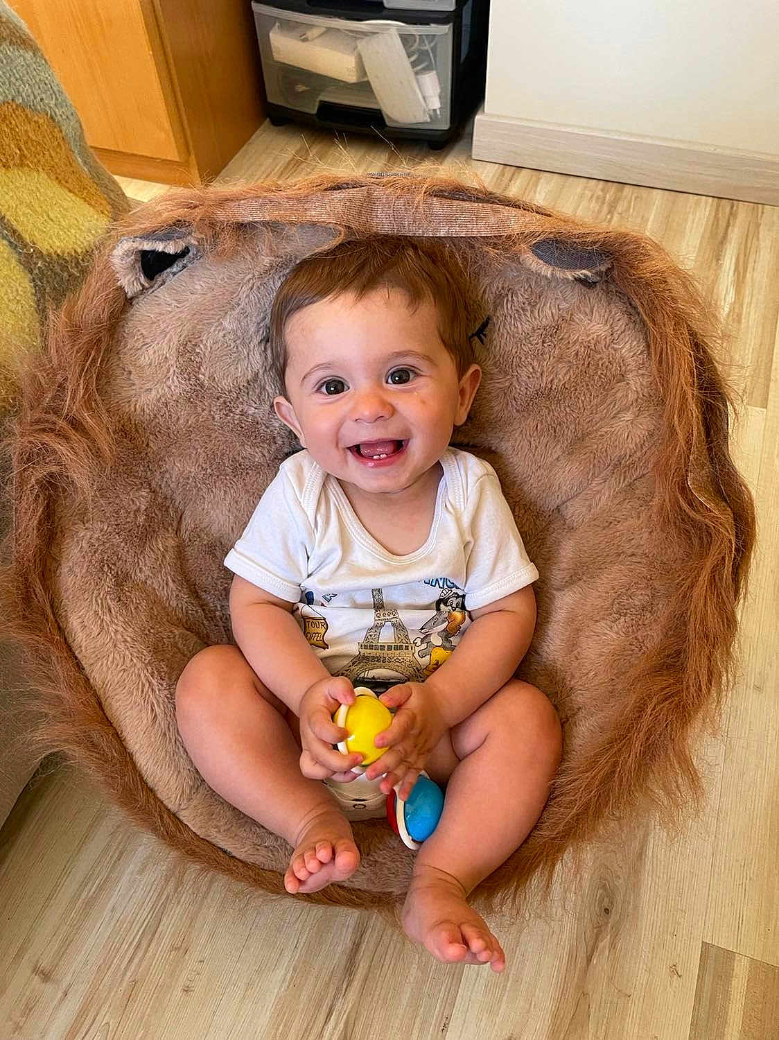 Matheo participe au concours pour gagner de l'argent avec cette photo : baby, child, smiling, toy, cushion, furry, lion, indoor, floor, wooden_floor, happy, cute, sitting, white_shirt, playful, infant, room, furniture, colorful, holding