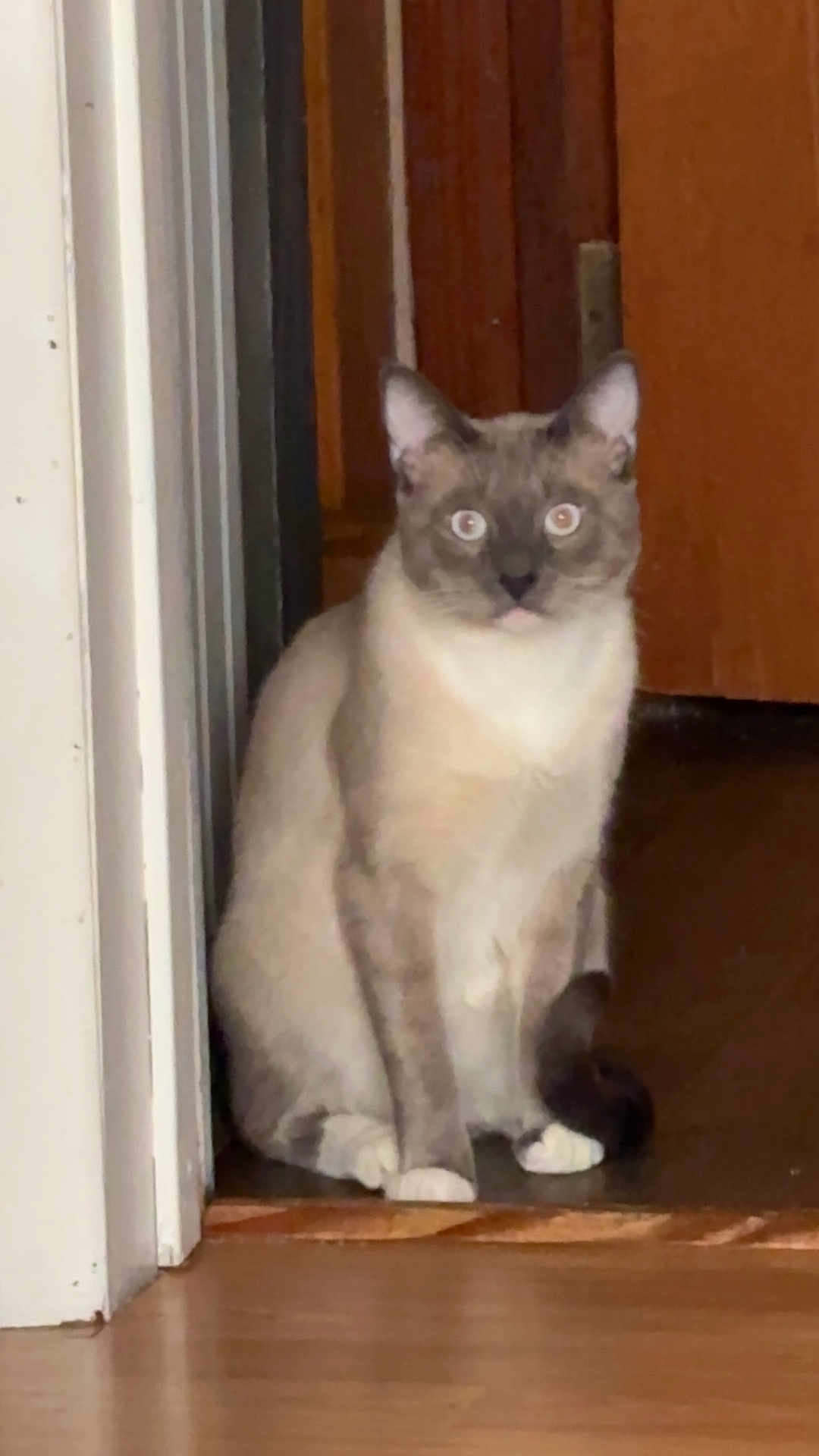 Miko