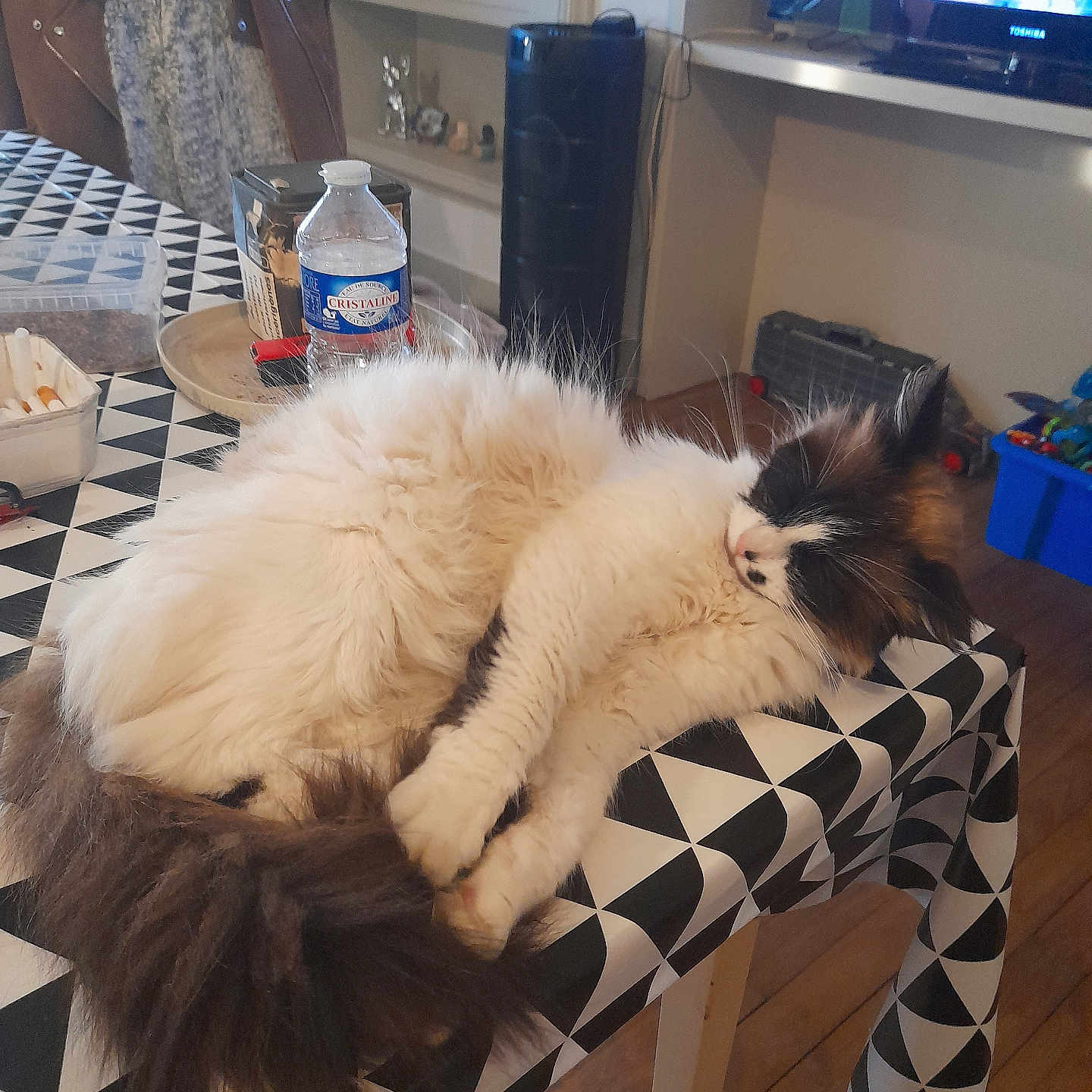 Noisette