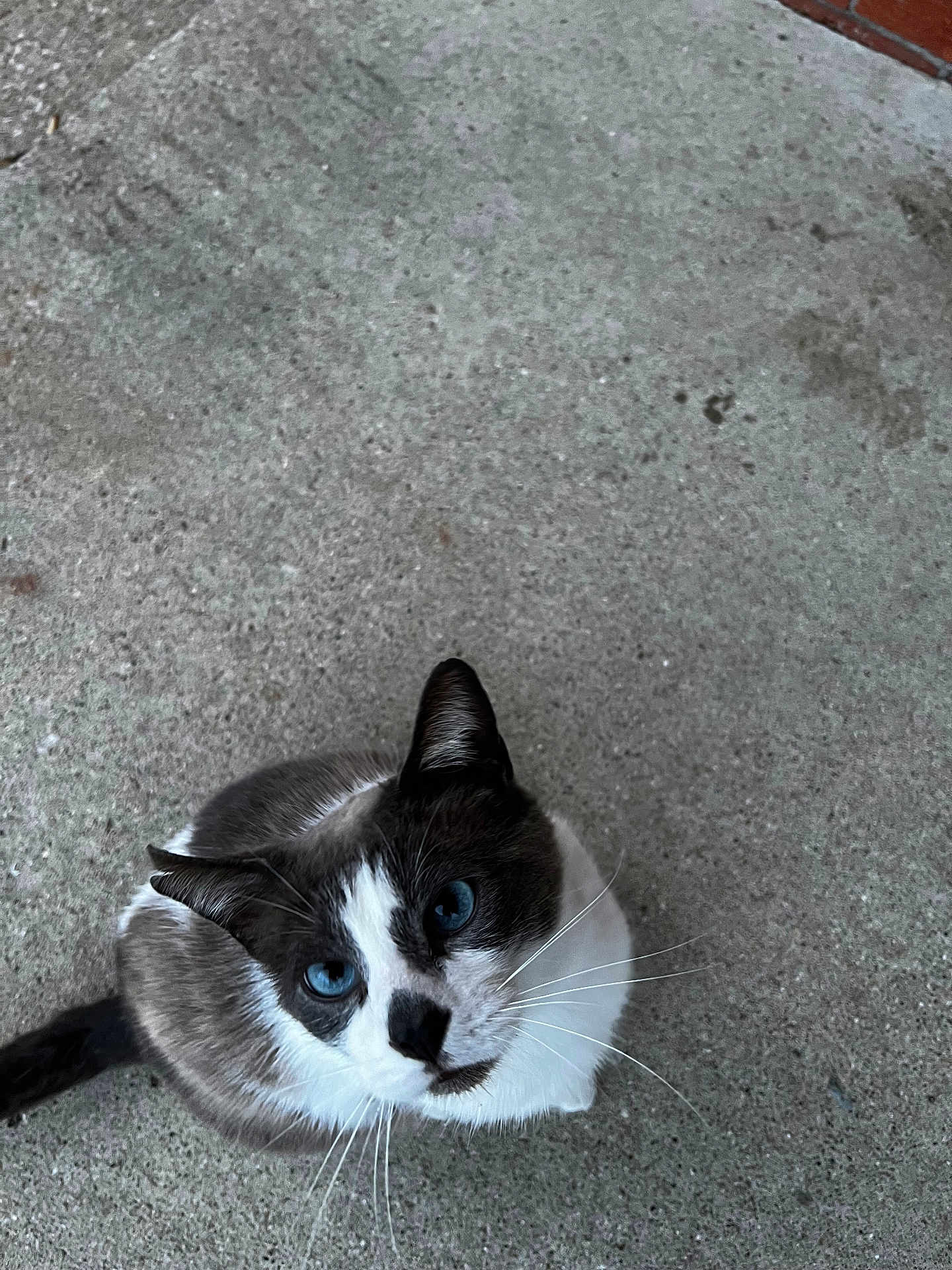 Charlie