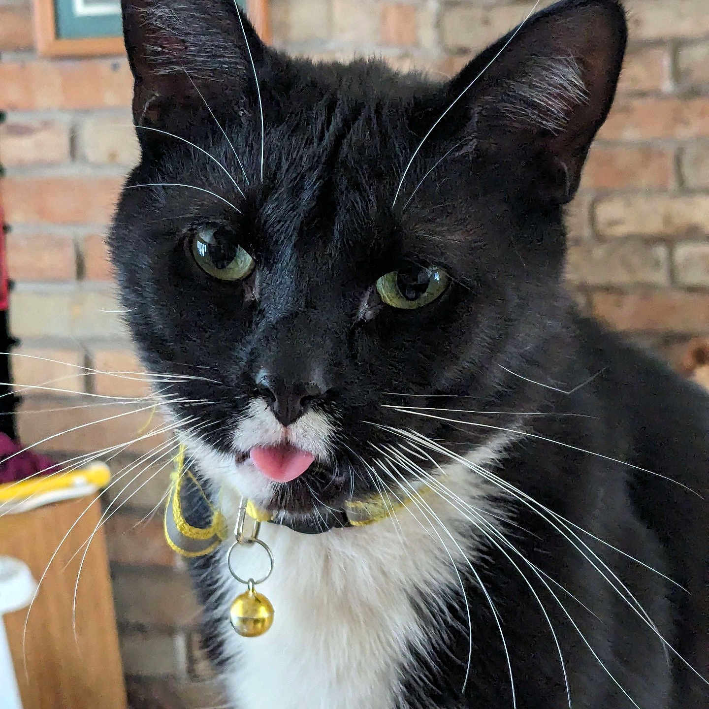 Morgana