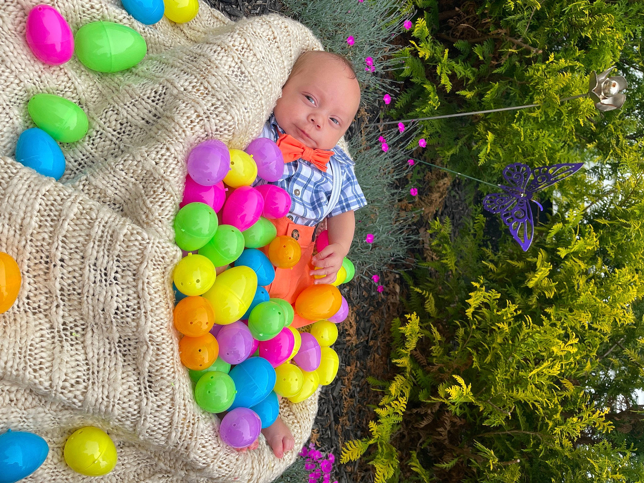 Jasper is registered to the contest to win money with this photo: baby_toddler_clothing, ball, ball_pit, balloon, child, electric_blue, event, flower, fun, grass, green, happy, leisure, party_supply, people_in_nature, person, photograph, plant, playground, toddler