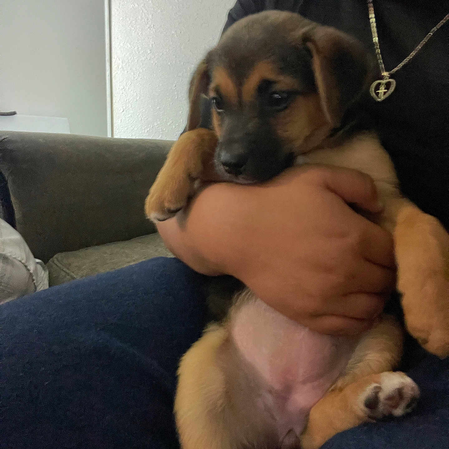 Estrella