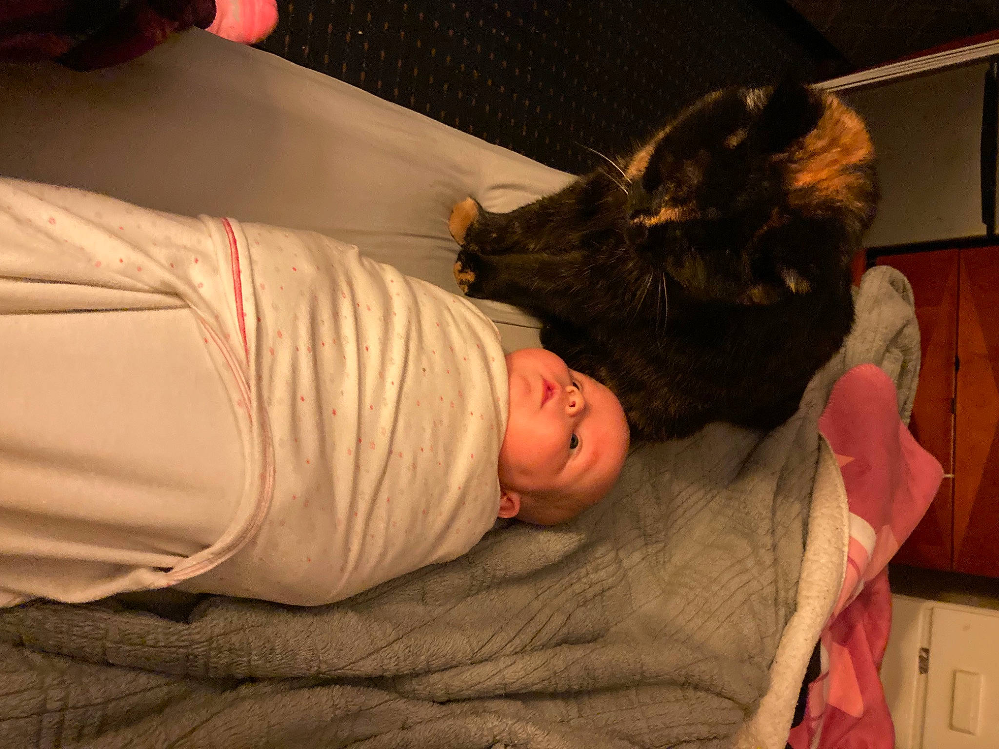 Kairi joined the competition — help win amazing prizes! abdomen, baby, cabinetry, child, comfort, elbow, flesh, fun, fur, linens, nap, person, room, sitting, sleep, t_shirt, toddler, tree