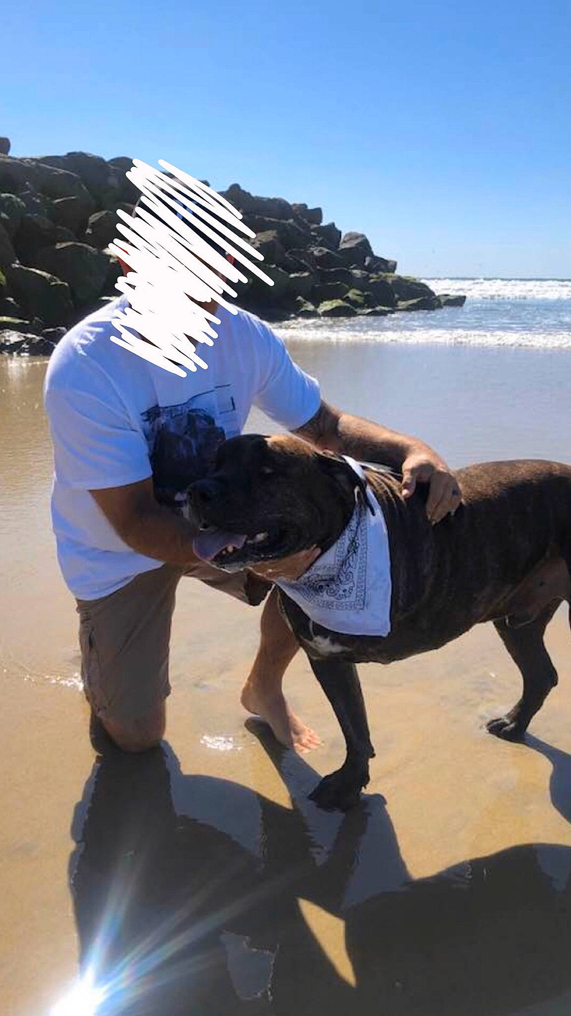 Bear joined the competition — help win amazing prizes! canidae, sporting_group, vacation