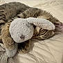 cat, tabby, sleeping, stuffed_toy, bunny, plush, bed, quilt, cozy, pet, fur, animal, resting, cute, indoor, soft, cuddling, peaceful, relaxed, nap