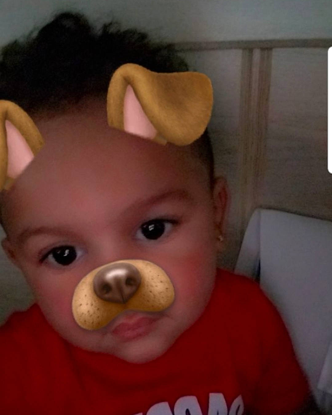 Jaylon joined the competition — help win amazing prizes! baby, cheek, child, ear, eye, face, head, mouth, nose, person, skin, snout, stuffed_toy, toddler, toy