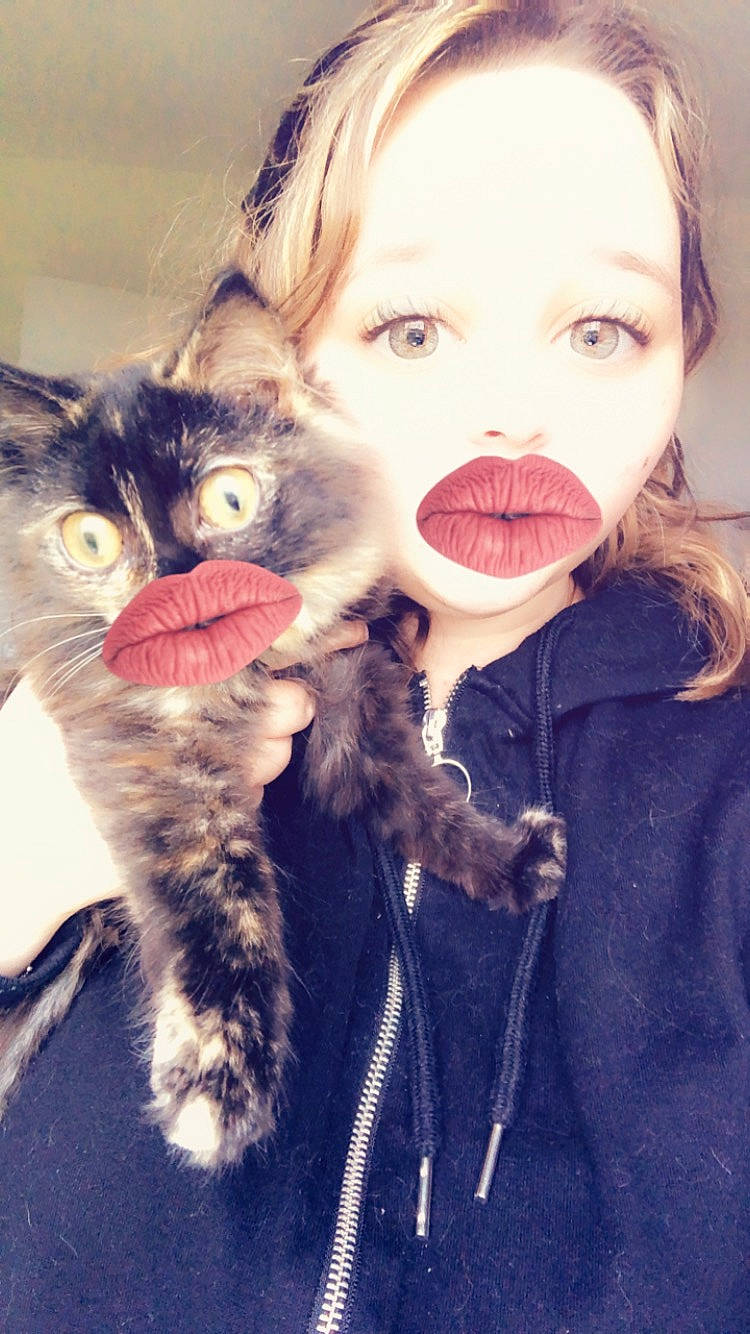 Bébé Chaton a rejoint le concours — aidez-le/la à gagner de superbes lots ! carnivore, cat, cheek, eye, face, facial_hair, felidae, fur, hair, kitten, lip, moustache, mouth, nose, photography, selfie, skin, small_to_medium_sized_cats, snout, whiskers