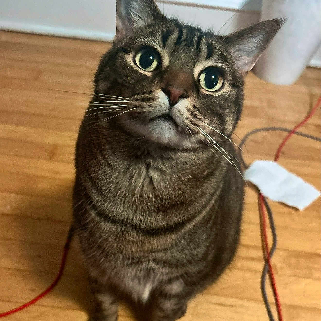 Chester