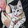 Kitty