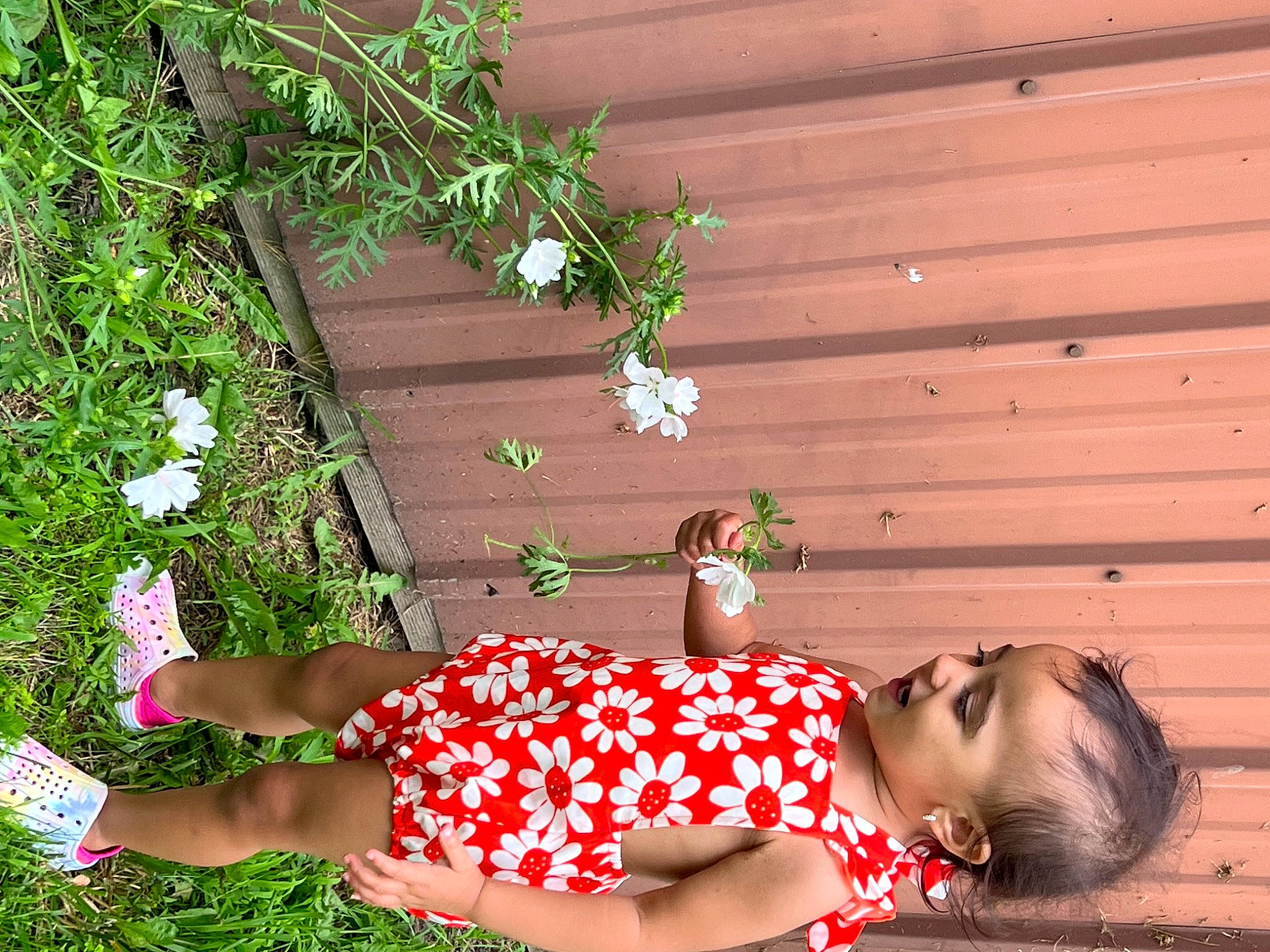 Journey is registered to the contest to win money with this photo: brick, brickwork, floral_design, flower, grass, happy, human_leg, knee, leaf, leisure, pattern, people_in_nature, person, plant, sandal, shrub, sitting, spring, thigh, waist