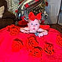 Emely is registered to the contest to win money with this photo: baby, red_bow, red_blanket, fabric_roses, number_2_balloon, birthday, living_room, christmas_tree, decorations, cute, infant, face, blue_eyes, holiday, celebration, furniture, door, floor, pacifier, table