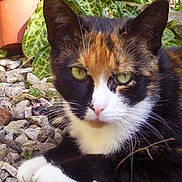 Félicie a rejoint le concours — aidez-le/la à gagner de superbes lots !