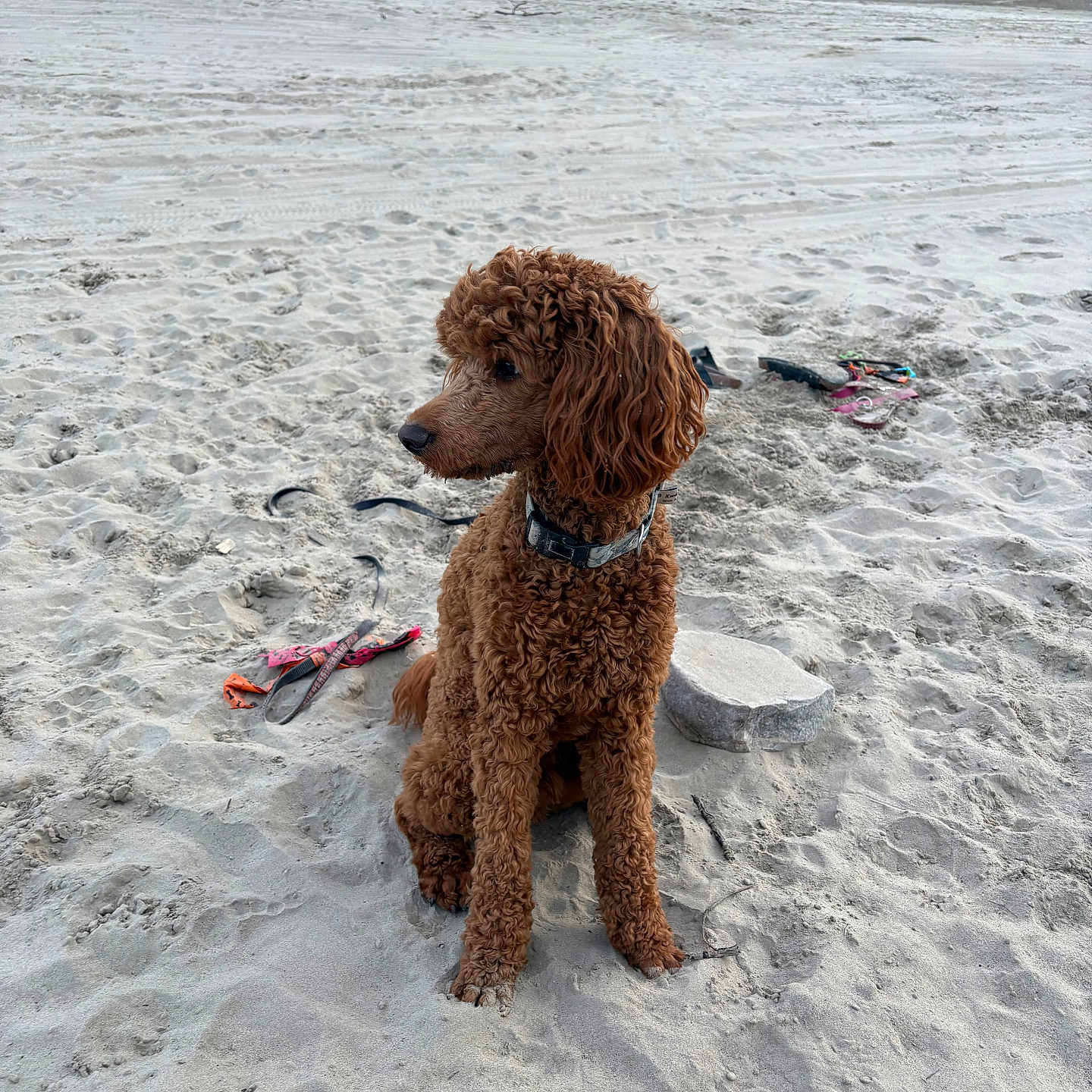 Ben