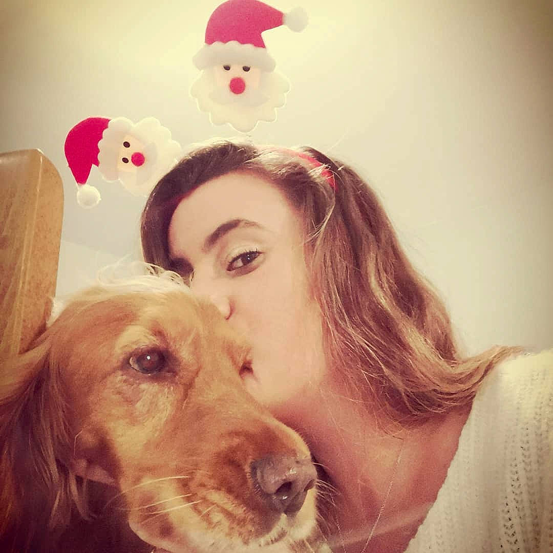 Jupette participe au concours pour gagner de l'argent avec cette photo : blond, carnivore, companion_dog, dog, dog_breed, ear, eye, eyewear, fun, fur, gesture, happy, head, love, nose, organ, selfie, smile, sporting_group, working_animal