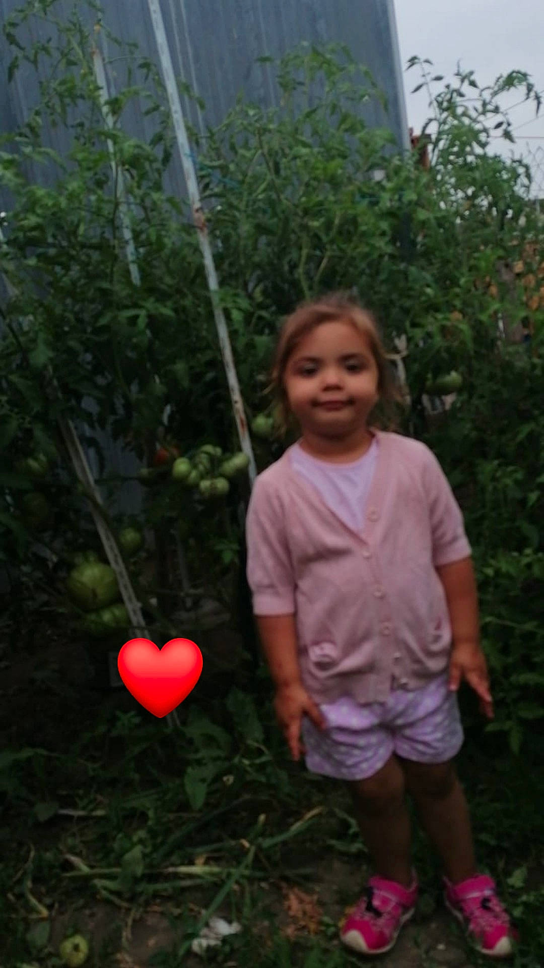 Mellina participe au concours pour gagner de l'argent avec cette photo : baby_toddler_clothing, coquelicot, fruit, heart, joy, leaf, love, organ, person, pink, produce, sock, summer, toddler