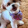 Daisy Mae