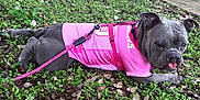 Saki is registered to the contest to win money with this photo: