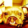 Saki is registered to the contest to win money with this photo: