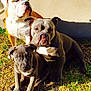 Saki is registered to the contest to win money with this photo: