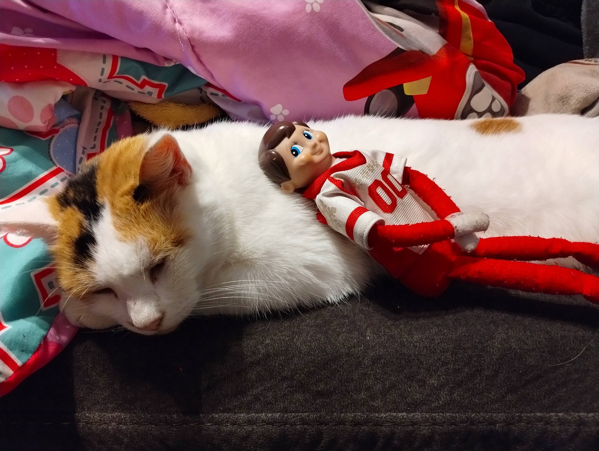 Eevee joined the competition — help win amazing prizes! carmine, carnivore, cat, claw, comfort, domestic_short_haired_cat, fang, felidae, fur, linens, nap, paw, small_to_medium_sized_cats, tail, whiskers