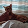 Jasper