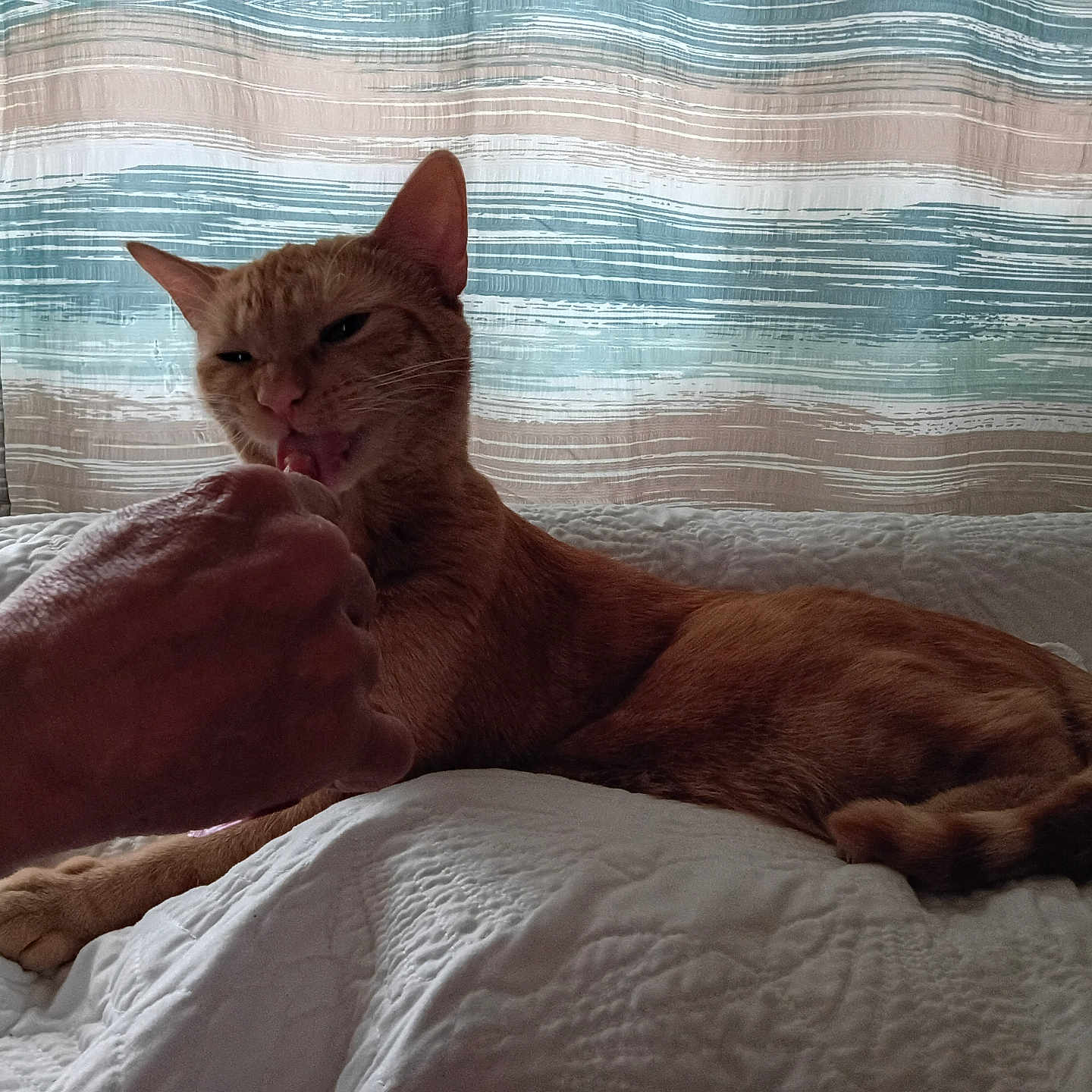 Jasper