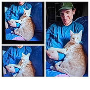 Jasper joined the competition — help win amazing prizes! man, cat, orange_tabby, blue_shirt, green_cap, couch, indoor, pet, relaxed, smile, collage, three_photos, lap, companion, friendship, comfort, furniture, home, casual, seated