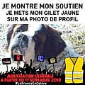 Guislaine D.