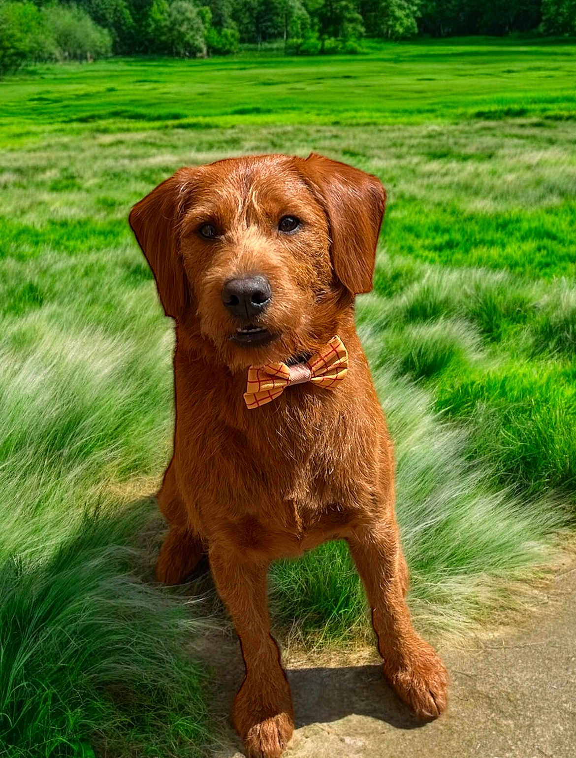 Parker