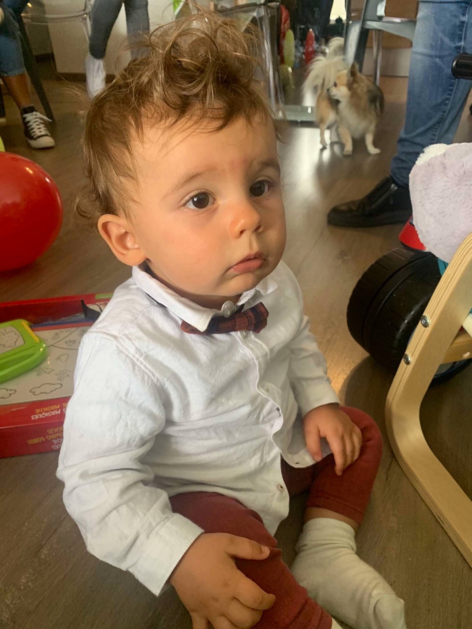 Léandro a rejoint le concours — aidez-le/la à gagner de superbes lots ! baby, baby_toddler_clothing, chair, dog, eye, floor, flooring, fun, hair, hairstyle, iris, joint, lap, leg, person, shoe, skin, sleeve, toddler, vertebrate