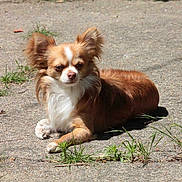 Heaven a rejoint le concours — aidez-le/la à gagner de superbes lots !