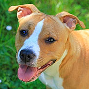 Indiana a rejoint le concours — aidez-le/la à gagner de superbes lots !