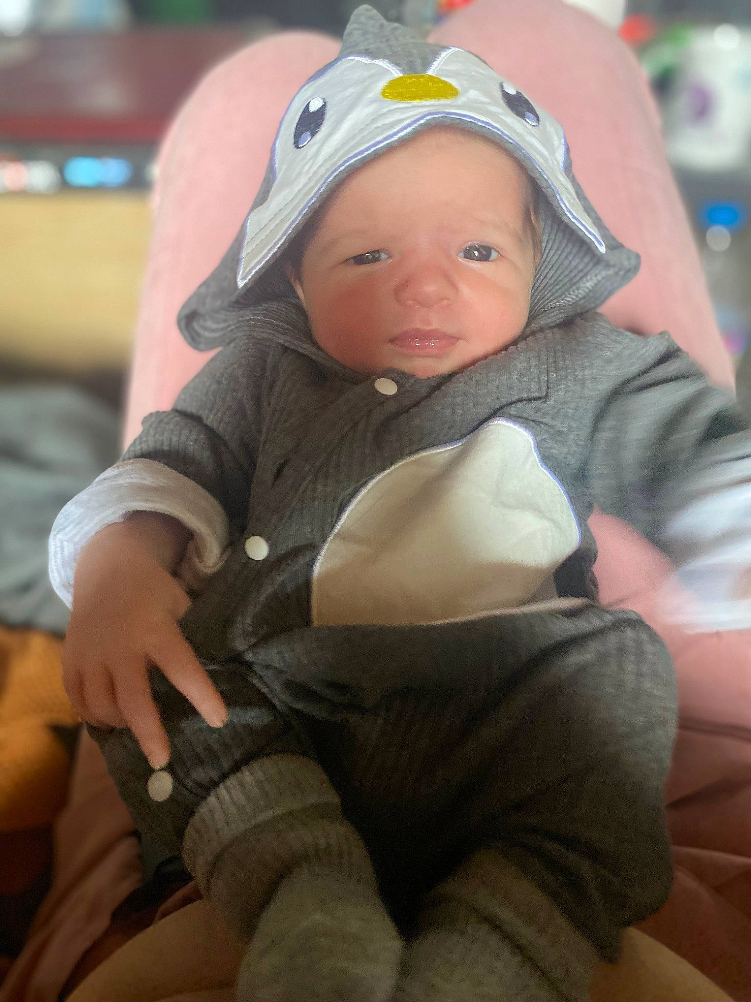 Zéphyr a rejoint le concours — aidez-le/la à gagner de superbes lots ! baby, baby_carriage, baby_products, baby_safety, baby_toddler_clothing, cheek, child, comfort, eye, fun, grass, happy, hat, headgear, headwear, person, personal_protective_equipment, sitting, skin, smile