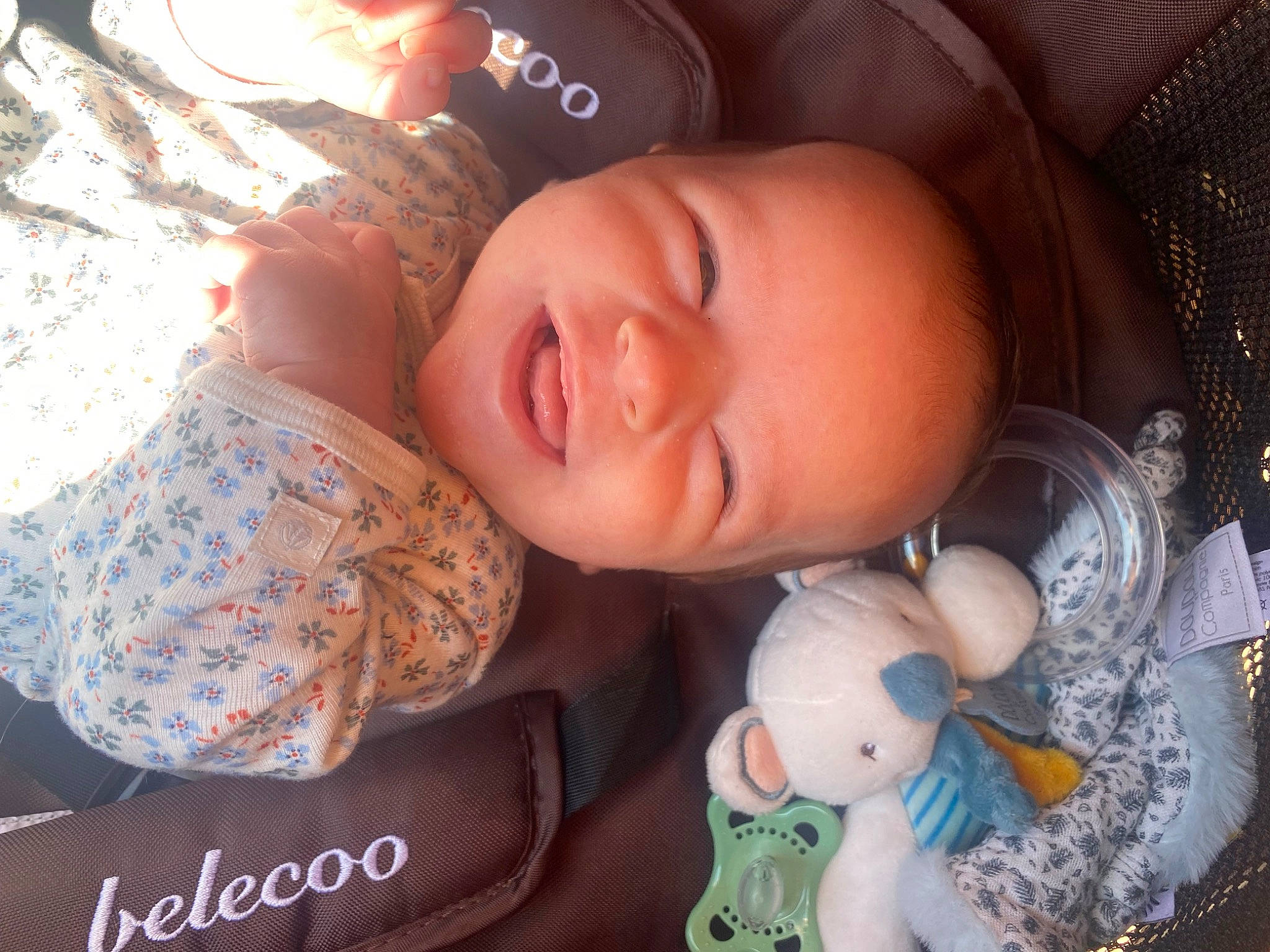 Zéphyr participe au concours pour gagner de l'argent avec cette photo : arm, baby, baby_toddler_clothing, cheek, cool, ear, eyelash, happy, iris, lip, mouth, nose, organ, person, pink, product, skin, smile, textile, toddler