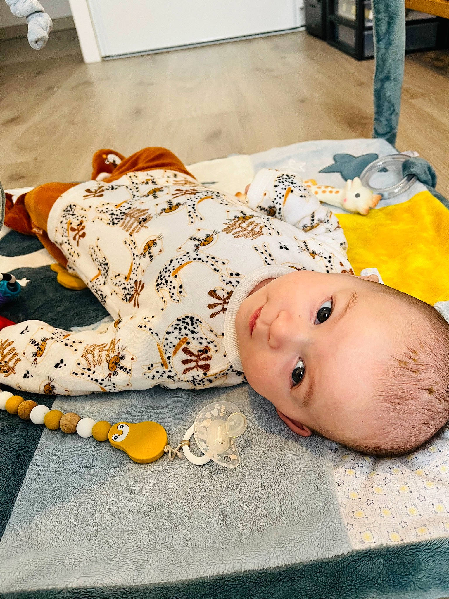 Leonie participe au concours pour gagner de l'argent avec cette photo : baby, baby_products, baby_safety, baby_toddler_clothing, child, comfort, couch, flooring, fur, headgear, linens, nap, orange, pattern, person, pumpkin, room, sitting, sleep, toddler