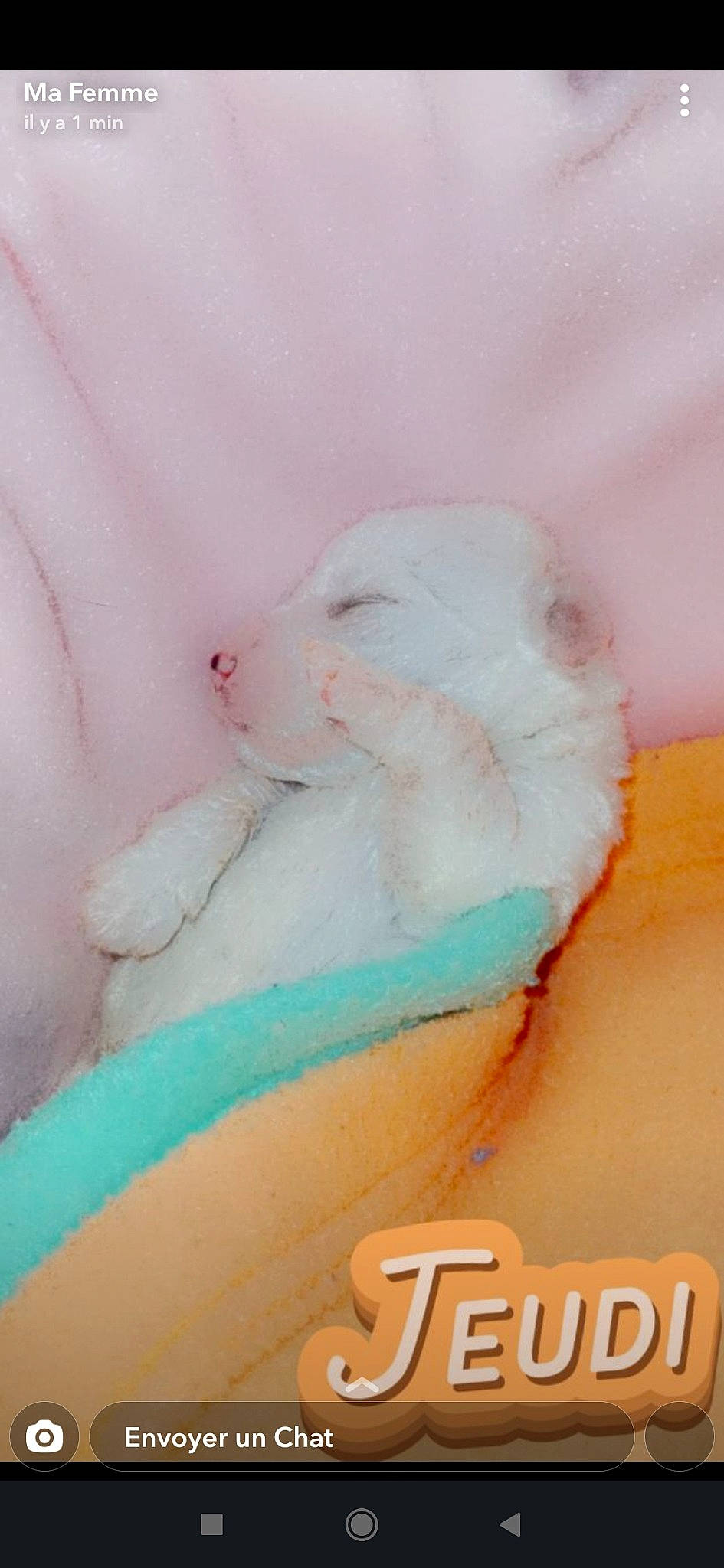 Pumbaa participe au concours pour gagner de l'argent avec cette photo : abdomen, art, baked_goods, chest, dessert, fashion_accessory, flesh, font, human_leg, icing, illustration, ingredient, jaw, linens, nail, peach, petal, sugar_cake, sweetness, undergarment