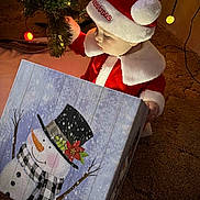 Rodney is registered to the contest to win money with this photo: baby, carpet, child, christmas, christmas_tree, cozy, curious, decorations, festive, gift_box, holiday, holiday_lights, indoor, person, red_clothing, santa_hat, seasonal, snowman, toddler, white_fur_trim