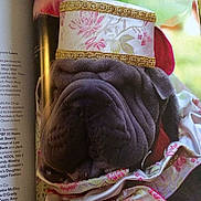 Carly is registered to the contest to win money with this photo: