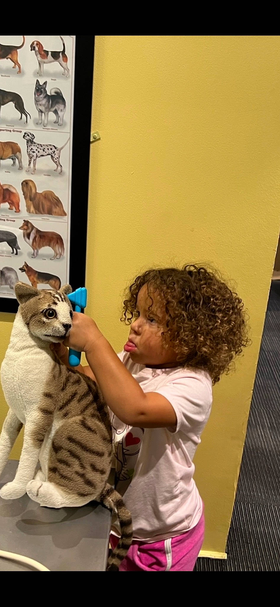 Kyra joined the competition — help win amazing prizes! animal_training, art, carnivore, cat, child, domestic_short_haired_cat, fawn, felidae, flooring, fur, happy, paw, person, room, sitting, small_to_medium_sized_cats, toddler, visual_arts, whiskers