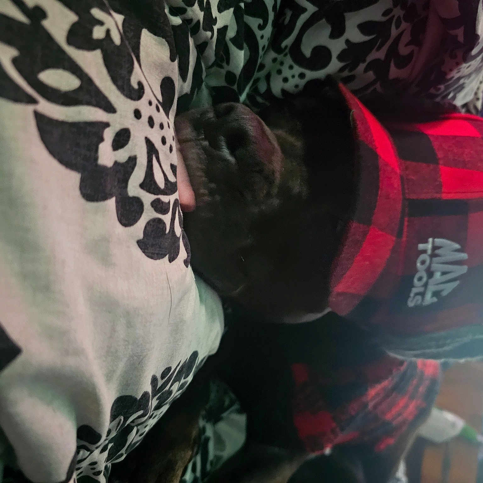 Ace