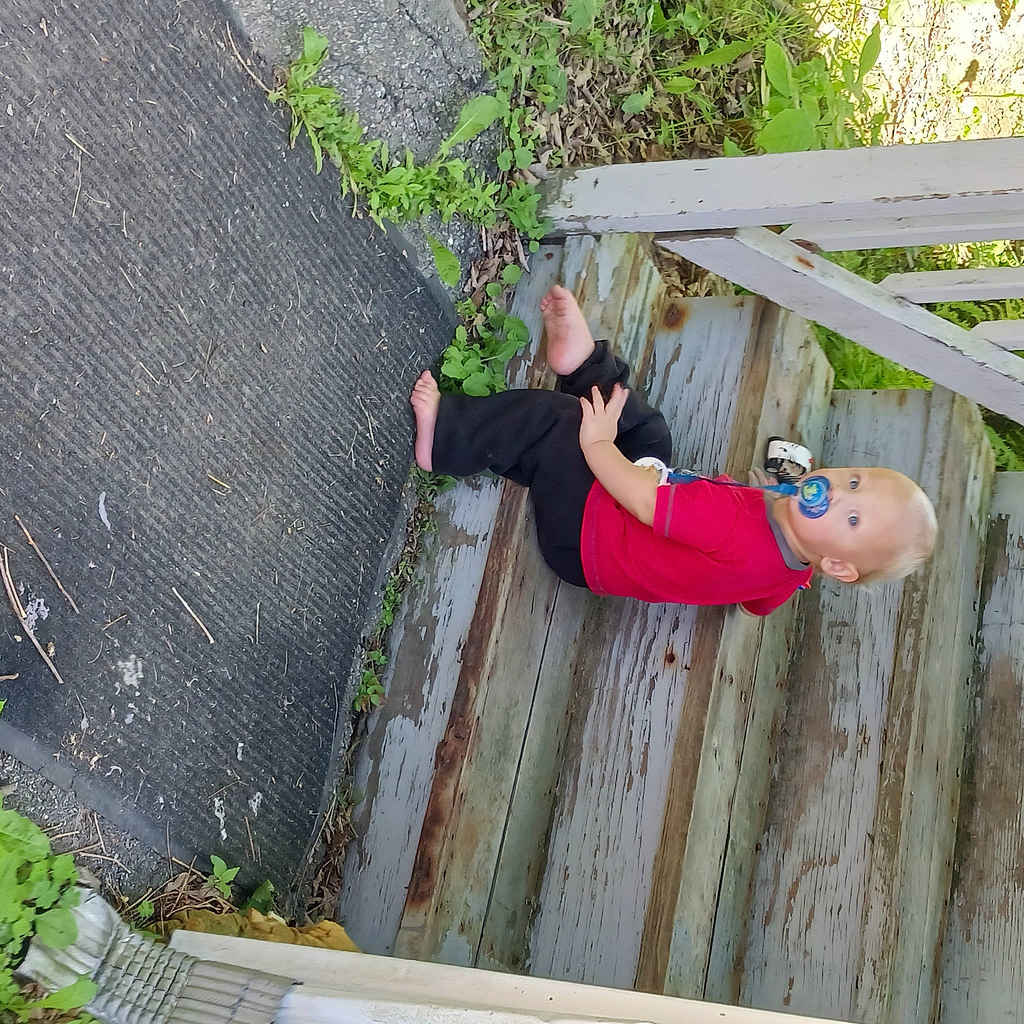 Dylan joined the competition — help win amazing prizes! asphalt, concrete, fun, grass, landscape, leaf, leisure, magenta, people_in_nature, person, plant, recreation, road_surface, shadow, shorts, shrub, sidewalk, sunglasses, t_shirt, wood