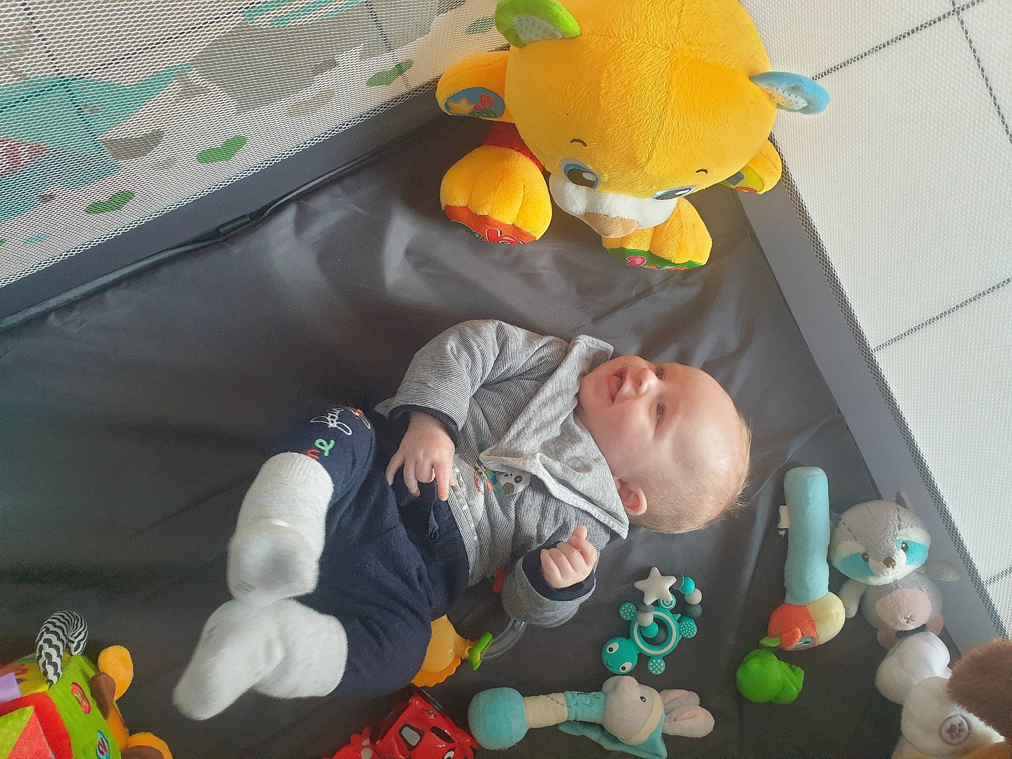 Karl a rejoint le concours — aidez-le/la à gagner de superbes lots ! baby, baby_products, baby_toys, bed, child, comfort, flooring, fun, green, infant_bed, leisure, linens, orange, person, play, product, room, stuffed_toy, toddler, toy